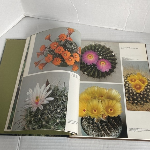 The Time Life Encyclopedia of Gardening Cacti Succulents Temp & Characteristics - Picture 5 of 15